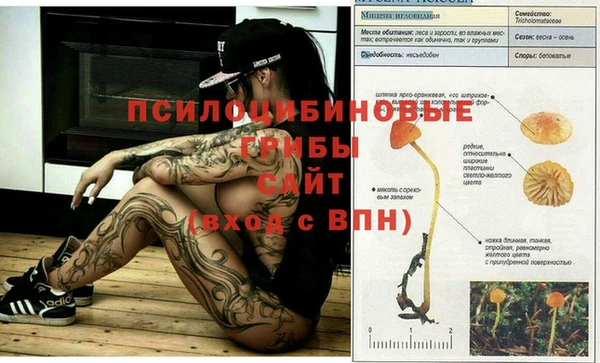 эйфоретик Богородск