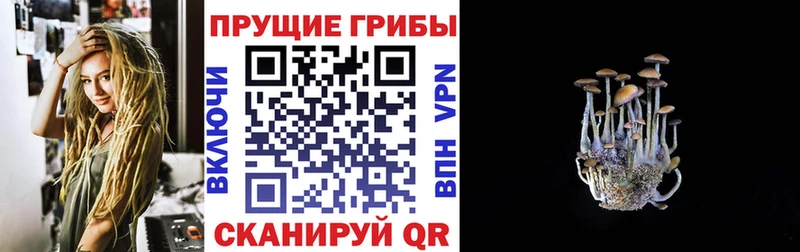 наркошоп  Волчанск  Галлюциногенные грибы Cubensis 